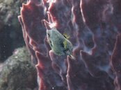 IMG_3389.jpg