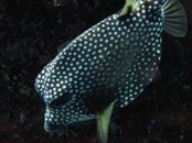 IMG_3452.jpg