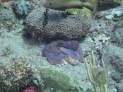 IMG_3468.jpg
