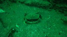 DSC06593.jpg