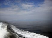 DSC02083.jpg