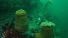 DSC06683.jpg