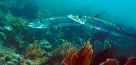 047125CB-E770-4B91-A7A0-CD61EB7EF03D.gif