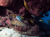 E3BFFD30-E811-4CB8-B244-0A4EC66947FE.gif