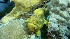 8F269006-E983-48D0-B6CA-67678F68ABDE.jpeg