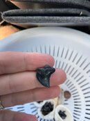 Tooth_3.jpg