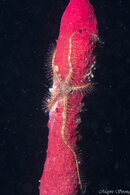 20211130-PB300744.jpg