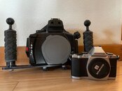 IMG_1596.jpeg
