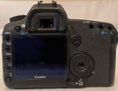 IMG_8558_web.jpg