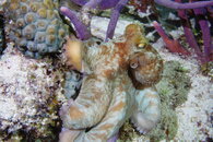 DSC07919.JPG
