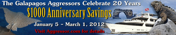 Galapagos-20Anniversary.gif