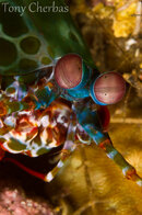 IMG_9846.jpg