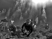 Diving in Kenting (08-09May10) C 208-2 (Copyright).jpg