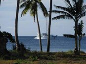 IMG_2362.jpg