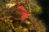 VERZP1080390.jpg