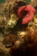 VERZP1080415.jpg