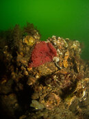 VERZP1080451.jpg