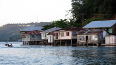 IMG_0896Oe2.jpg