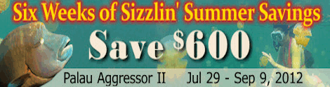 palau-SizzlinSummer-470.gif