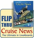 CruiseNews banner.jpg