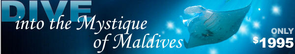 New Maldives Email banner.jpg