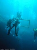 51divers_at_platform.jpg