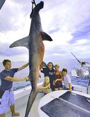 Rosie%u00252BO%2527Donnell%2B-%2B%2BMark%2Bthe%2BShark.jpg