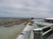 IMG_4064.jpg
