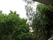 IMG_4069.jpg