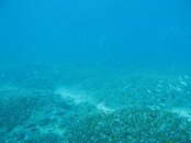 IMG_4080.jpg