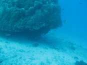 IMG_4086.jpg