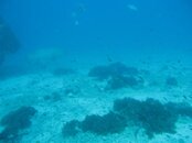 IMG_4085.jpg