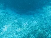 IMG_4090.jpg