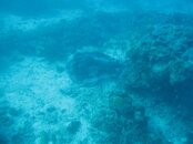 IMG_4092.jpg