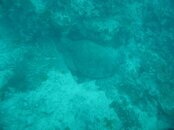 IMG_4138.jpg