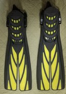 Atomic fins 2.jpeg