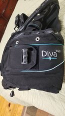 Diva 1.jpeg