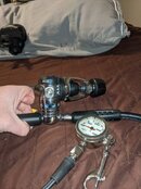 PXL_20220208_112351039.jpg