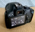 IMG_6206.jpeg