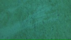 vlcsnap-2017-05-07-01h35m48s626.jpg