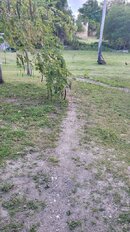 20220316_174530.jpg
