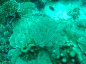 IMG_0345.jpg