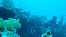 Mansinum Cross Wreck 5Dec11.jpg