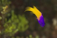 _MG_8142.jpg
