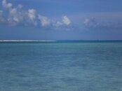 beach 2 copy.jpg
