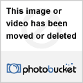 PICT0380.gif