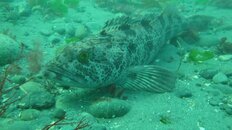 DSC07187.jpg