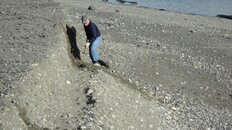 DSC07174.jpg