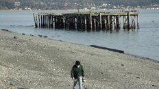 DSC07177.jpg