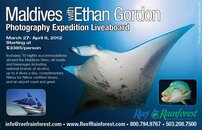 2012 Maldives Ethan for website.jpg